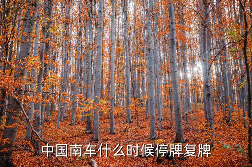 中國南車什么情況，中國南車跌停預示著大盤明天有什么狀況