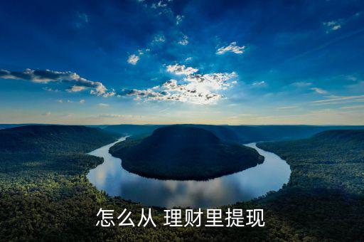 怎么從 理財里提現
