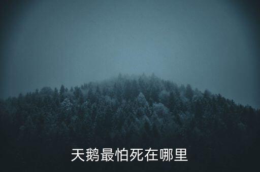 天鵝怕什么，天鵝最怕死在哪里