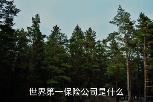 世界上第一家保險(xiǎn)公司叫什么，世界第一保險(xiǎn)公司是什么