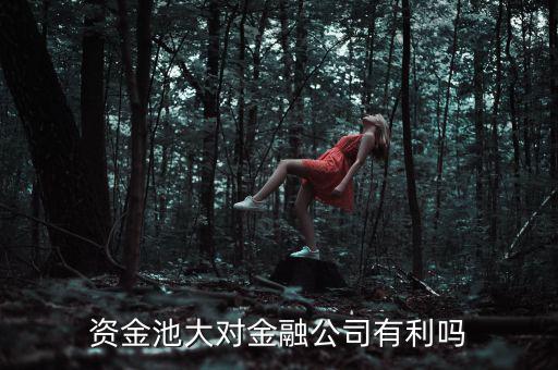 擠兌風(fēng)波是什么意思，請?jiān)敿?xì)解釋下銀行的擠兌事件的具體內(nèi)容