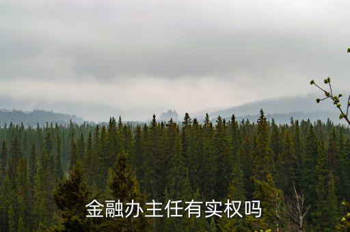 金融辦主任有實權(quán)嗎