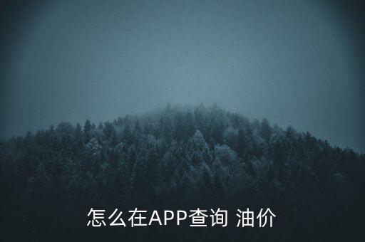 怎么在A(yíng)PP查詢(xún) 油價(jià)