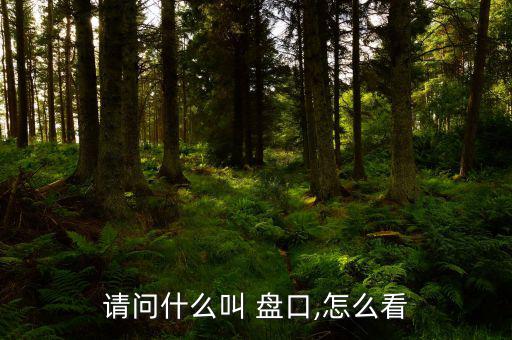 請(qǐng)問什么叫 盤口,怎么看