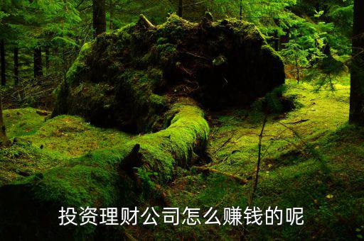 財牛投資靠什么賺錢，投資理財公司靠什么賺錢
