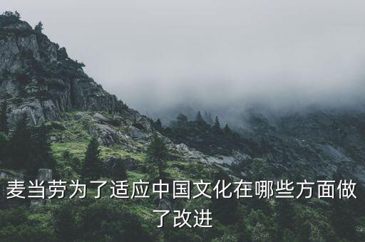 麥當(dāng)勞中國(guó)的愿景是什么，麥當(dāng)勞為了適應(yīng)中國(guó)文化在哪些方面做了改進(jìn)