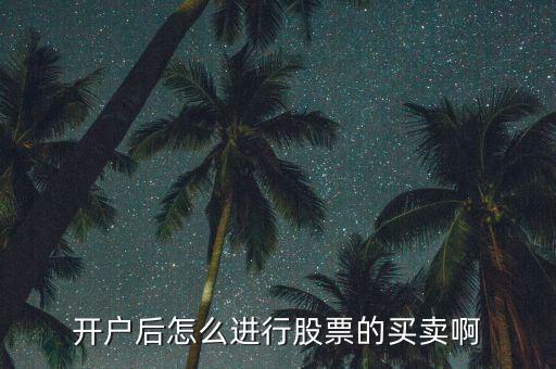 開(kāi)戶(hù)后怎么進(jìn)行股票的買(mǎi)賣(mài)啊