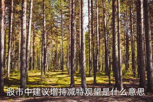 股票建議增持什么意思，股市中建議增持減特觀望是什么意思