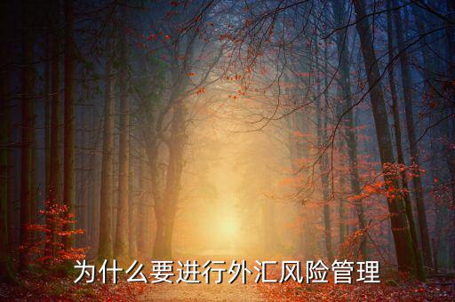 中國(guó)為什么實(shí)行外匯管制，為什么要加入國(guó)家外匯管理局工作