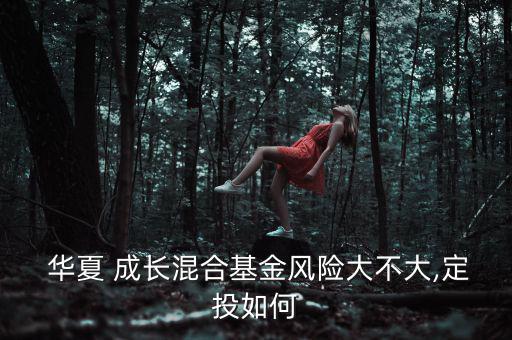  華夏 成長混合基金風(fēng)險大不大,定投如何