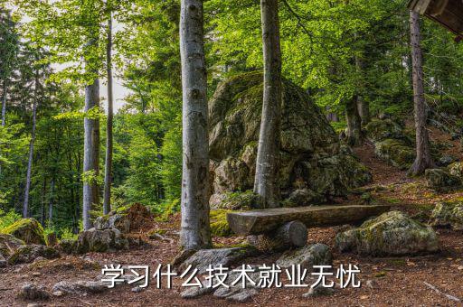 學習什么技術就業(yè)無憂