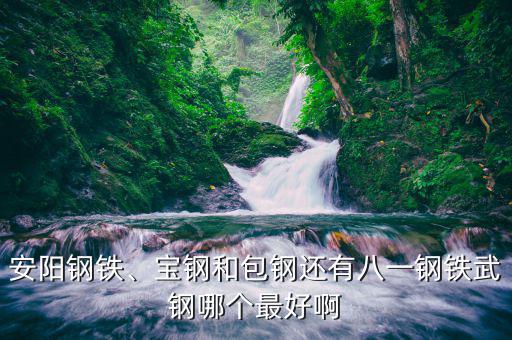 安陽(yáng)鋼鐵、寶鋼和包鋼還有八一鋼鐵武鋼哪個(gè)最好啊