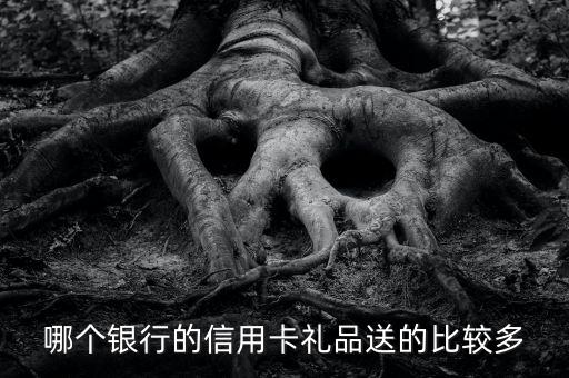 哪個(gè)銀行的信用卡禮品送的比較多