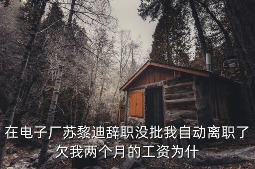 在電子廠蘇黎迪辭職沒(méi)批我自動(dòng)離職了欠我兩個(gè)月的工資為什