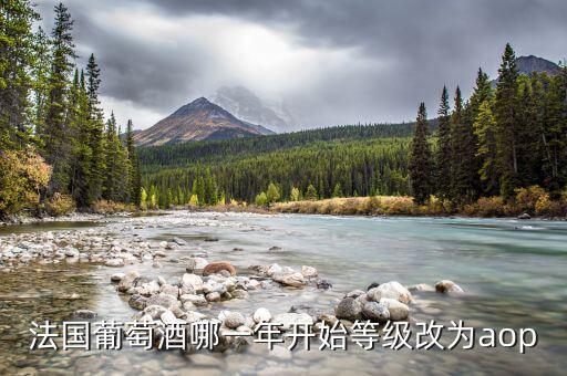 法國發(fā)生什么改革，法國葡萄酒哪一年開始等級改為aop