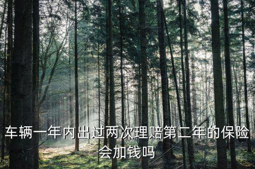 一年中兩次事故理培有什么影響，車輛一年內(nèi)出過兩次理賠第二年的保險會加錢嗎