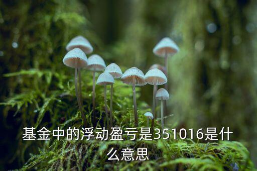 基金的浮動盈虧是什么意思，基金中的浮動盈虧是351016是什么意思