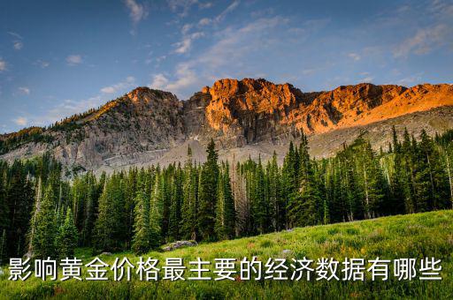 什么數(shù)據(jù)會(huì)影響黃金，影響黃金價(jià)格最主要的經(jīng)濟(jì)數(shù)據(jù)有哪些