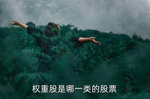 權(quán)重股是什么意思，權(quán)重股是哪一類的股票