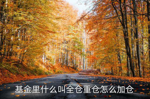 什么是基金加倉，基金里什么叫全倉重倉怎么加倉