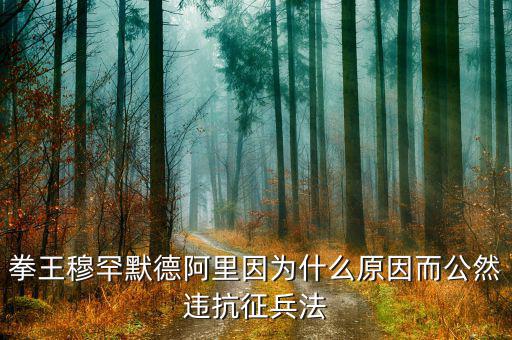 默罕默德阿里現(xiàn)在是在干什么，拳王穆罕默德阿里因?yàn)槭裁丛蚨贿`抗征兵法