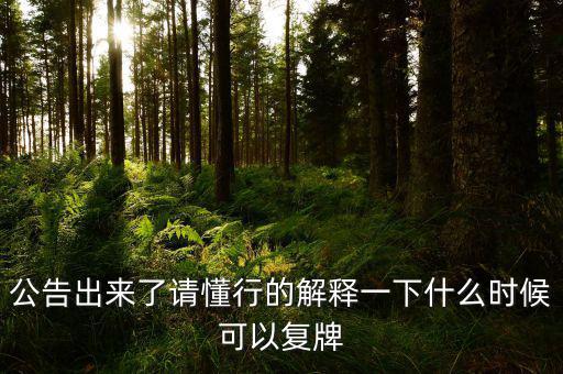 公告出來了請懂行的解釋一下什么時候可以復(fù)牌