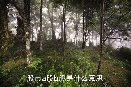 滬市a股是什么意思，什么是A股