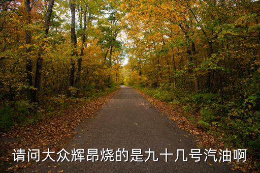 什么車燒90號汽油，請問大眾輝昂燒的是九十幾號汽油啊