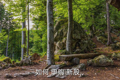 怎么進(jìn)行新股申購(gòu),新股申購(gòu)交易軟件開放投資者可進(jìn)行交易
