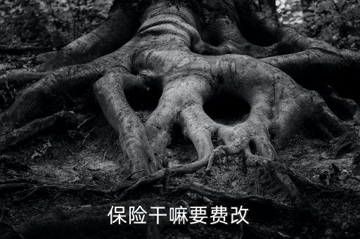 什么是費改產(chǎn)品，移動營業(yè)廳不能由用戶老產(chǎn)品轉(zhuǎn)換成當(dāng)前產(chǎn)品什么意思