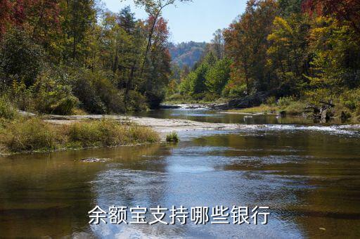 支付寶余額寶支持什么銀行卡，余額寶定期轉(zhuǎn)入支持什么銀行卡