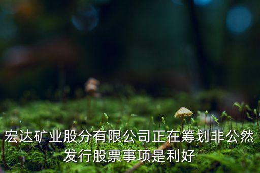 宏達(dá)礦業(yè)什么重大事項(xiàng)，請(qǐng)教600687停盤說(shuō)是因?yàn)楹藢?shí)公司相關(guān)重大事項(xiàng)這個(gè)重大事項(xiàng)有知