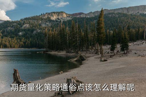 期貨指標(biāo)量化是什么意思，量化標(biāo)準(zhǔn)是什么意思
