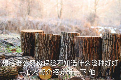 夫妻買什么保險好，想給老公買份保險不知選什么險種好好心人幫介紹分析一下 他