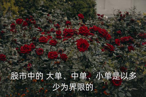 股市中的 大單、中單、小單是以多少為界限的