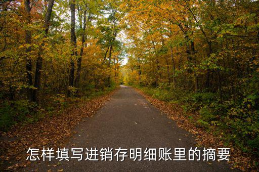 購入存貨摘要是什么，如果是進(jìn)貨那么存貨分類帳上的摘要寫什么