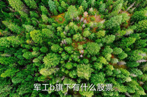 軍工b屬于什么股票，軍工b旗下有什么股票