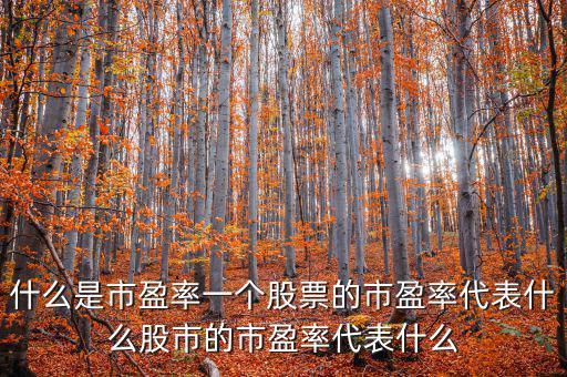 平均市盈率說明什么，什么是市盈率一個股票的市盈率代表什么股市的市盈率代表什么
