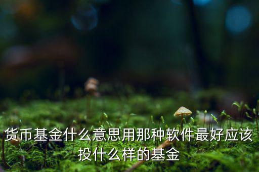 貨幣基金t什么意思，貨幣基金贖回時間T3是什么意思