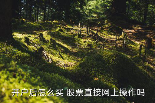 股票開(kāi)戶后怎么買賣,開(kāi)戶如何購(gòu)買股票?
