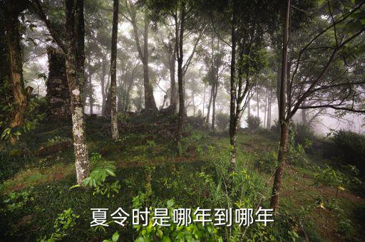 夏令時從什么時候開始，夏令時是哪年到哪年