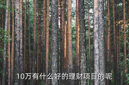 10萬做什么理財好，10萬有什么好的理財項(xiàng)目的呢
