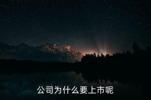 公司為什么上市，公司為什么要上市呢
