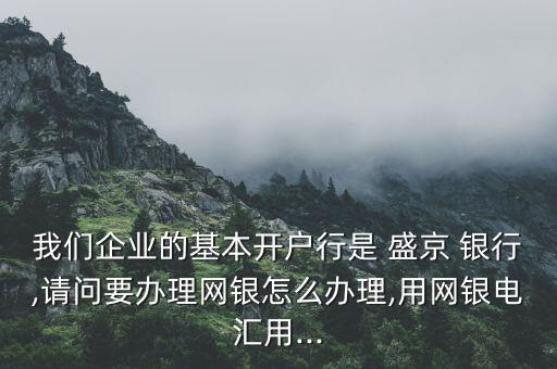 我們企業(yè)的基本開(kāi)戶(hù)行是 盛京 銀行,請(qǐng)問(wèn)要辦理網(wǎng)銀怎么辦理,用網(wǎng)銀電匯用...