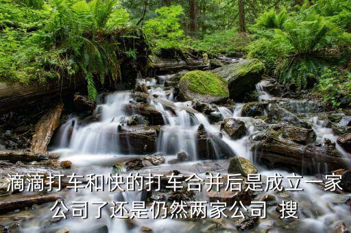 滴滴快的合并后叫什么，滴滴打車和快的打車合并后是成立一家公司了還是仍然兩家公司  搜