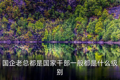 中交地產(chǎn)總經(jīng)理屬于什么級(jí)別干部，國企老總都是國家干部一般都是什么級(jí)別