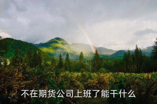 去期貨公司能做什么，本人去某期貨公司總部適合做什么