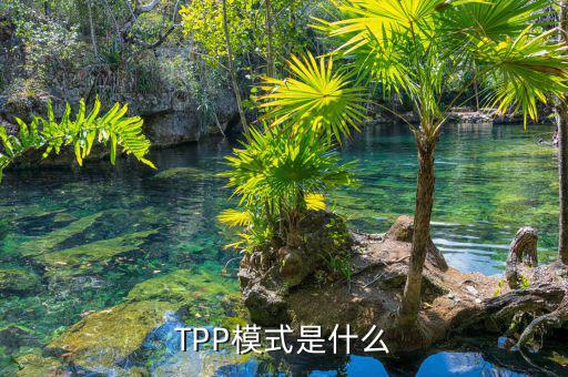 tpp什么時(shí)候生效，TPP文件時(shí)什么東西