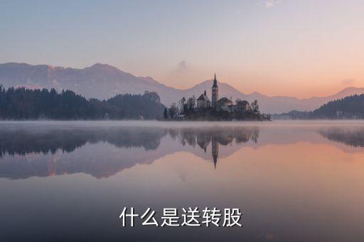 什么叫送股，什么是送轉(zhuǎn)股