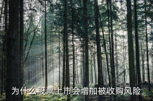 為什么股票上市會增加被收購風(fēng)險(xiǎn)